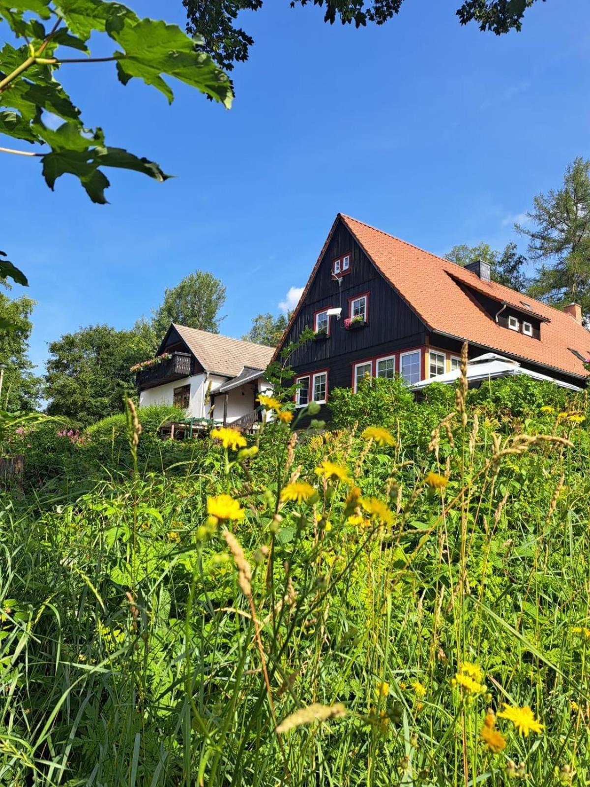 Haus Erna Schierke Apartment Exterior photo