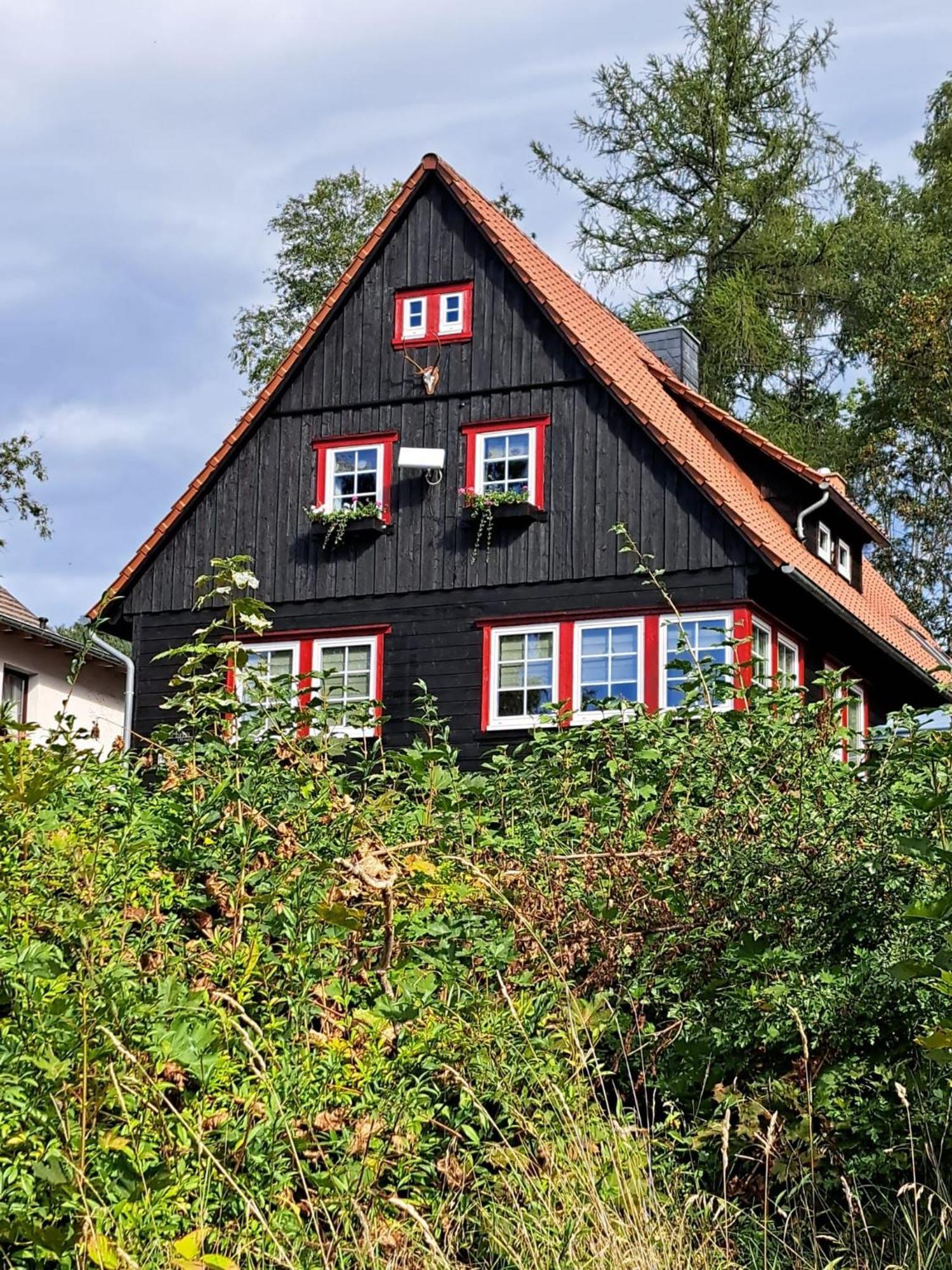Haus Erna Schierke Apartment Exterior photo